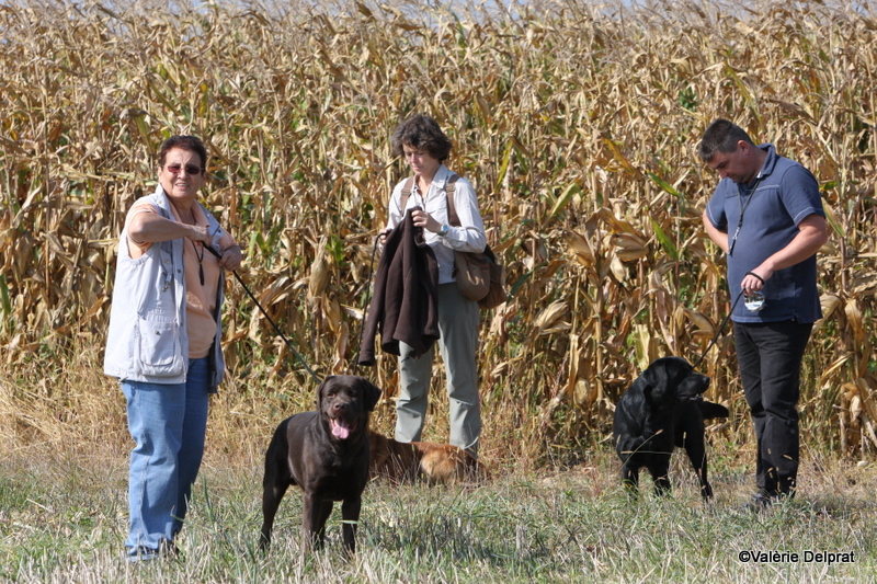 Field Erstein 09 (54).JPG